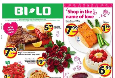 BI-LO Weekly Ad Flyer February 10 to February 16