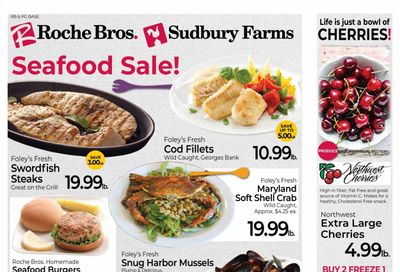 Roche Bros. (MA) Weekly Ad Flyer June 25 to July 1