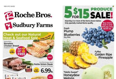 Roche Bros. (MA) Weekly Ad Flyer January 6 to January 13