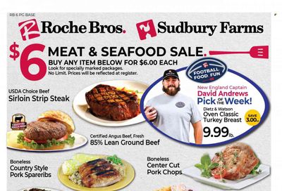 Roche Bros. (MA) Weekly Ad Flyer January 13 to January 20