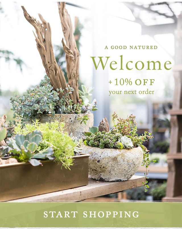 Get 10% off When you Sign up for Terrain's Newsletter