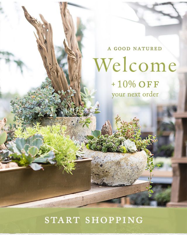 Get 10% off When you Sign up for Terrain's Newsletter