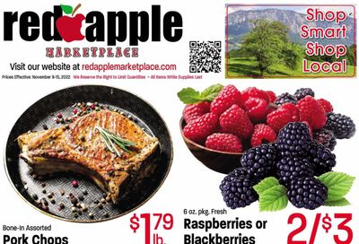 Red Apple Marketplace (OR) Weekly Ad Flyer Specials November 9 to November 15, 2022