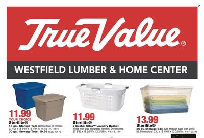 True Value Weekly Ad Flyer Specials January 2 to January 28, 2023