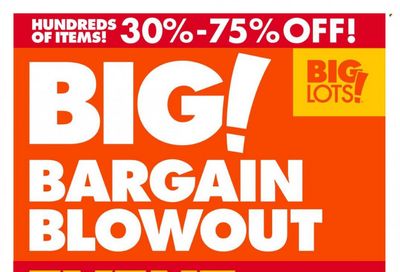 Big Lots Weekly Ad Flyer Specials January 21 to January 27, 2023
