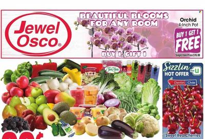 Jewel Osco (IN) Weekly Ad Flyer Specials January 25 to January 31, 2023