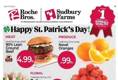 Roche Bros. (MA) Weekly Ad Flyer Specials March 10 to March 16, 2023