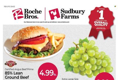 Roche Bros. (MA) Weekly Ad Flyer Specials March 24 to March 30, 2023