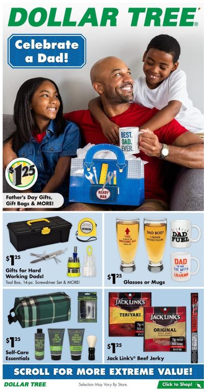 Dollar Tree Weekly Ad Flyer Specials May 30 to June 10, 2023