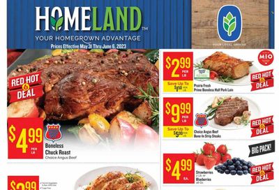Homeland (OK, TX) Weekly Ad Flyer Specials May 31 to June 6, 2023