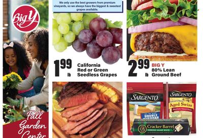 Big Y (CT, MA) Weekly Ad Flyer Specials August 24 to August 30, 2023