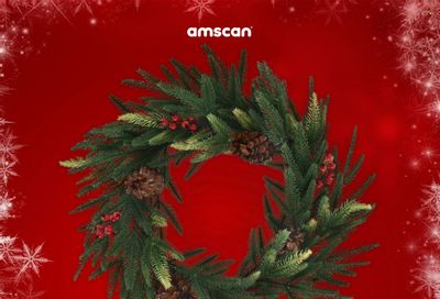 Amscan Promotions & Flyer Specials December 2023
