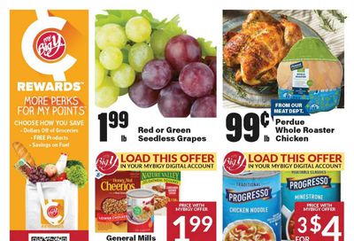 Big Y (MA) Weekly Ad Flyer Specials January 18 to January 24, 2024