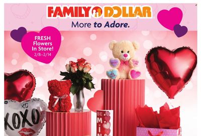 Family Dollar Weekly Ad Flyer Specials January 24 to February 14, 2024